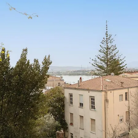 Guest house Molo Brin &